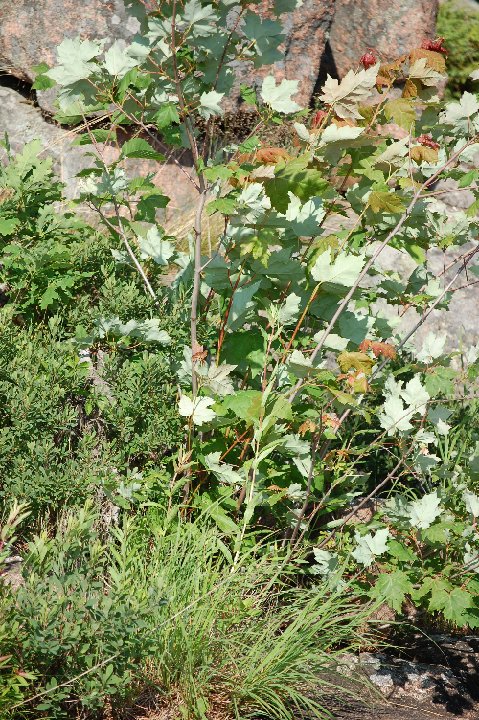 SUMMER2010- (47)